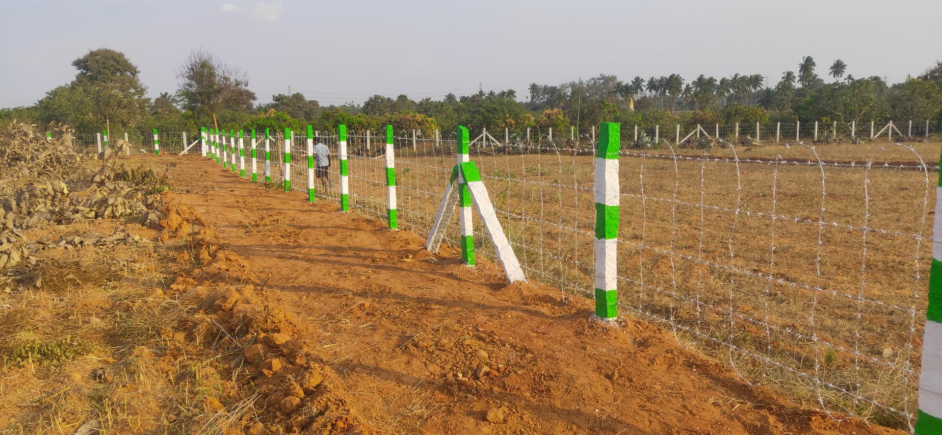 Barbed Wire U Model — Security Wire fencing by Navi Fencing